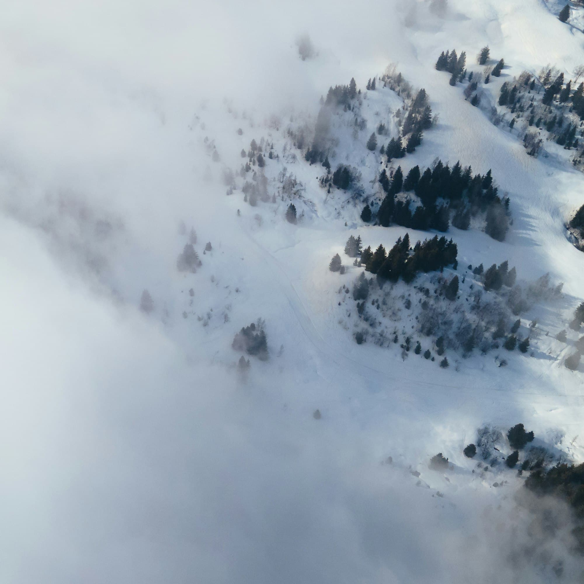 Vue aérienne des sapins enneigés aux Gets