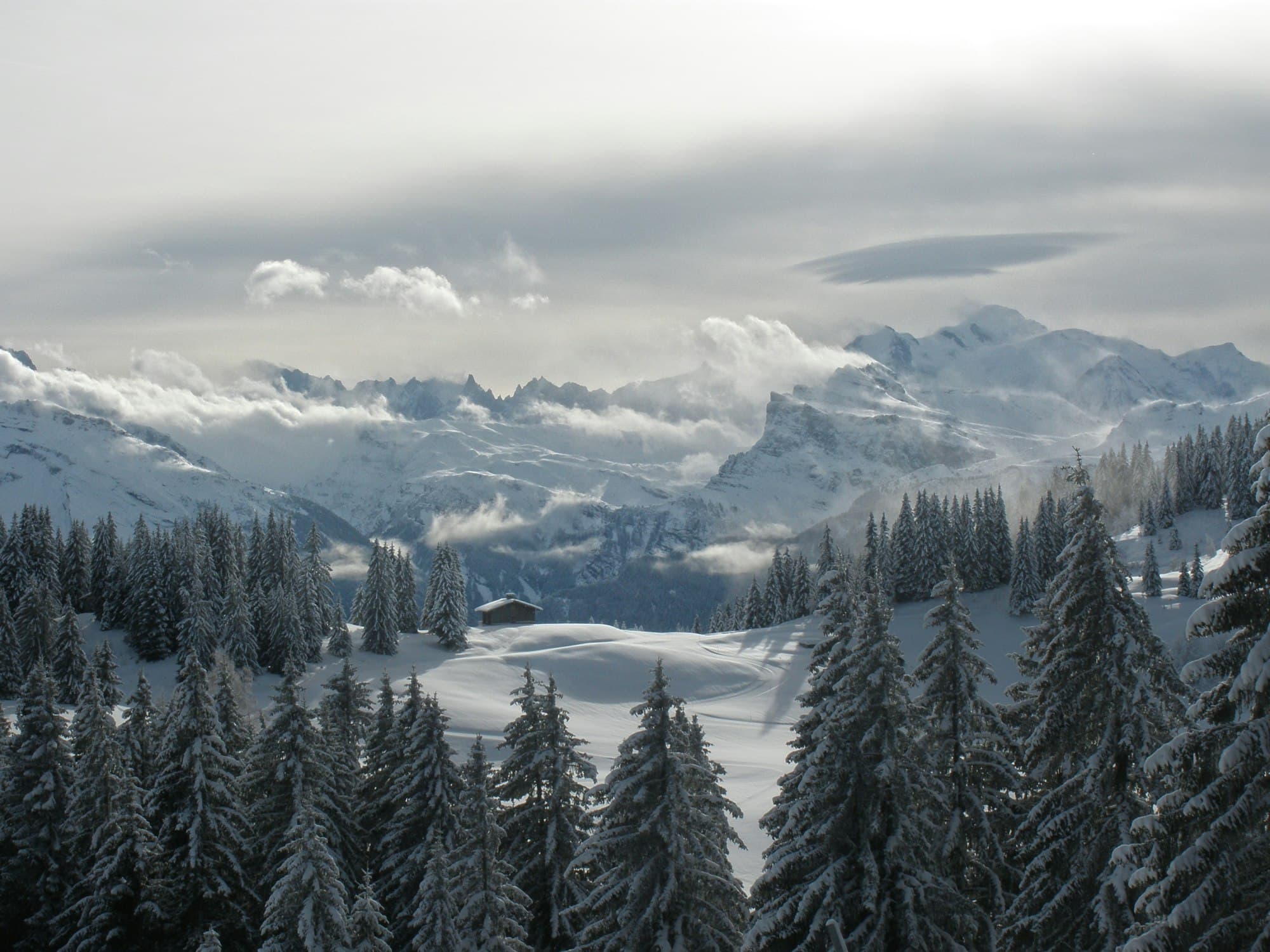 Forêt de sapins et montagnes aux Gets